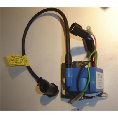 592101 Programmable ignition coil 2 curves